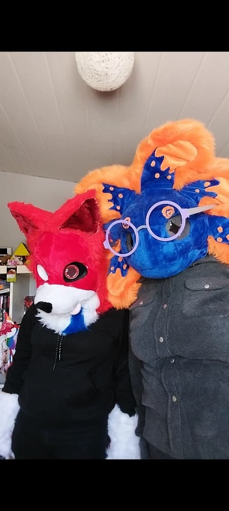 Stellar et Rød Ulva