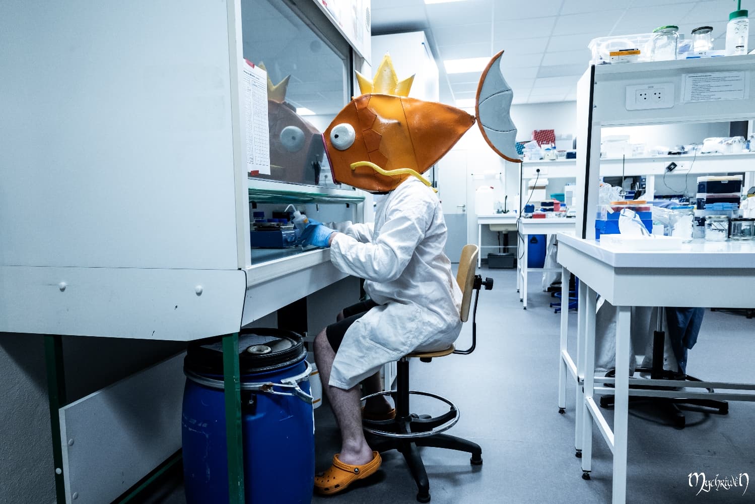 Professor Magicarpe  - Photo 6