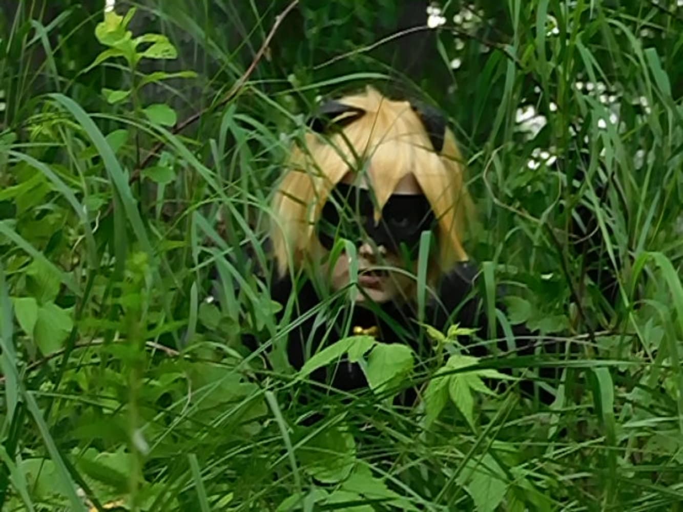 Chat Noir - Photo 20