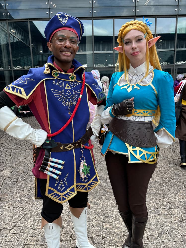 Link royal guard - Photo 3