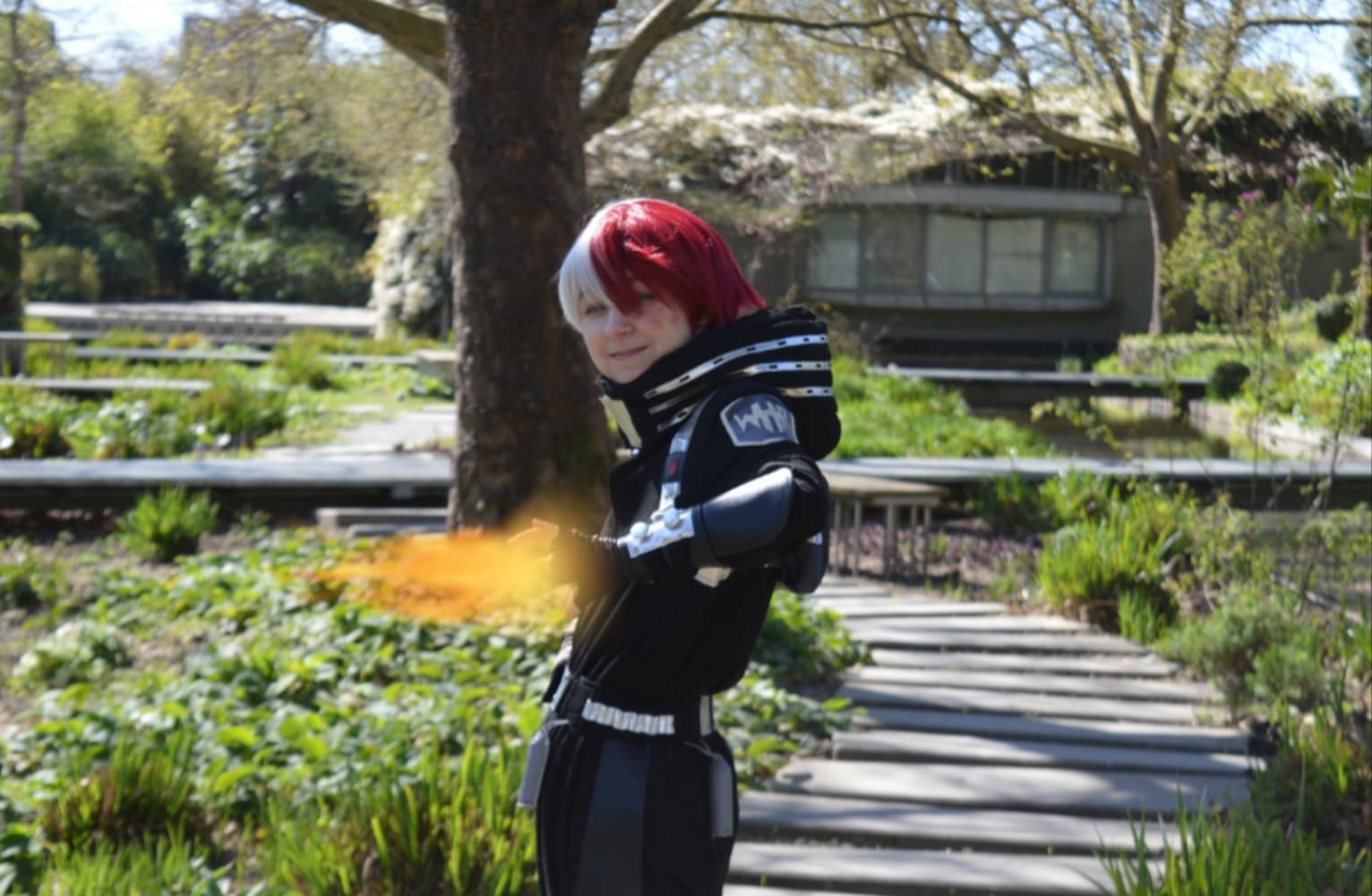 Shoto todoroki  - Photo 5