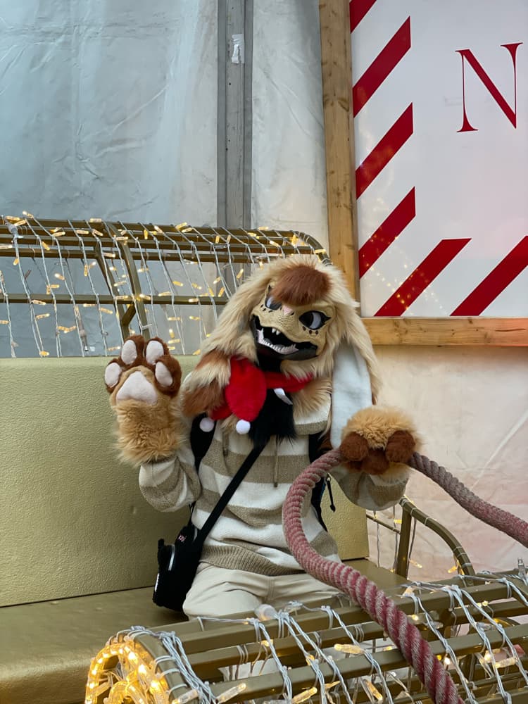 Photos Tapioca - Photo 22