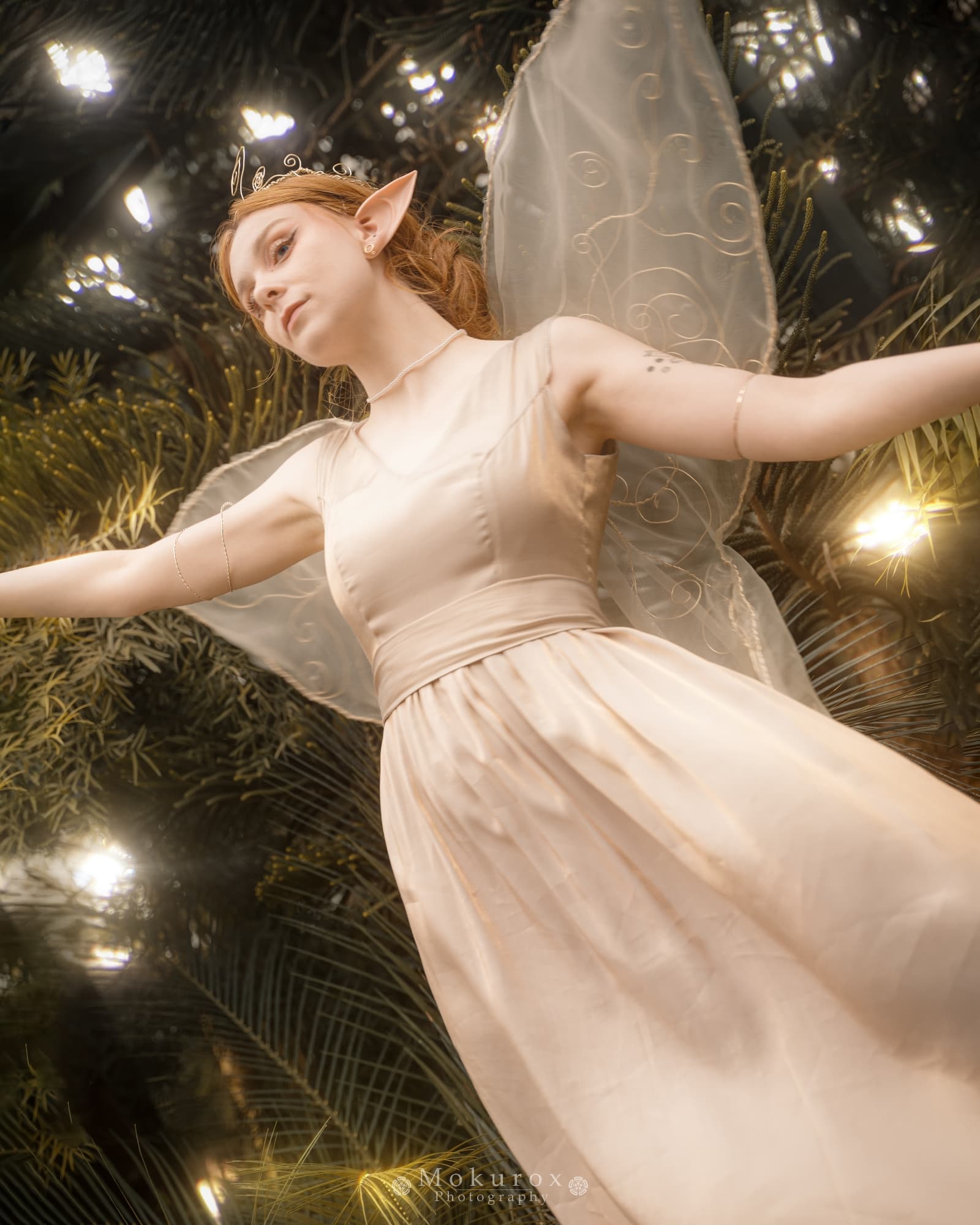 Reine Clarion - Photo 4