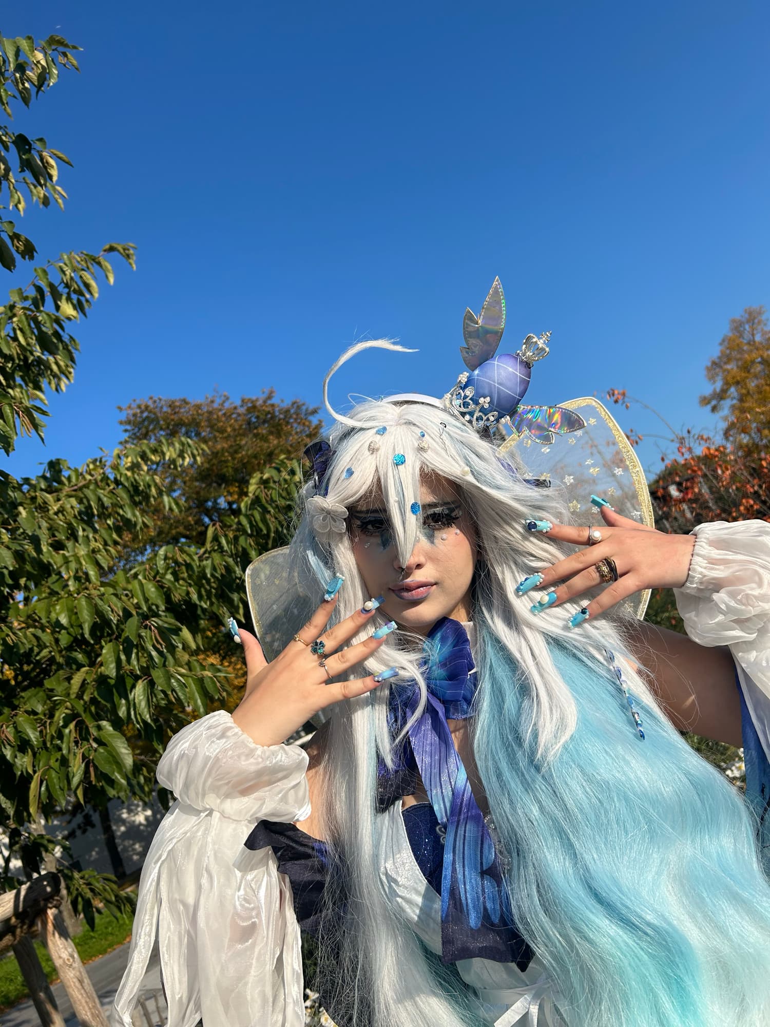 Miku butterfly  - Photo 2