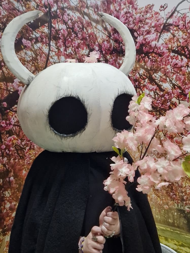 Hollow knight  - Photo 3