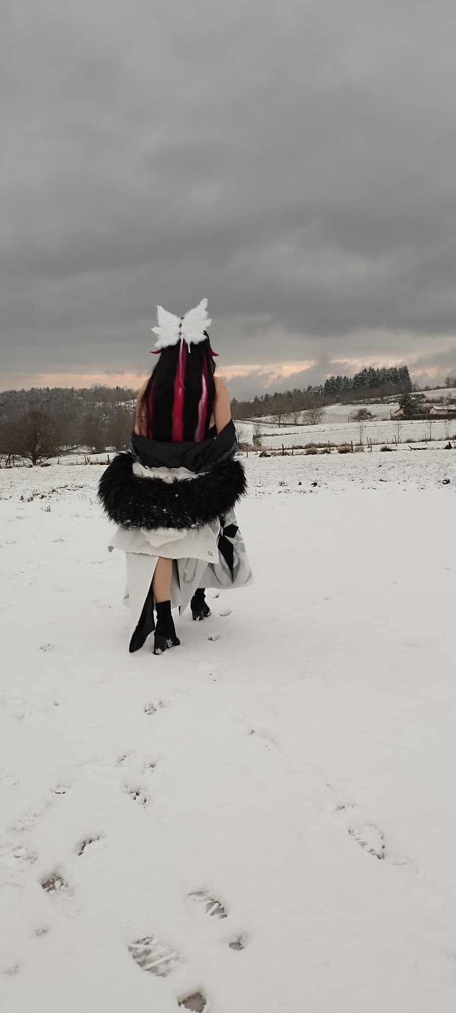 Columbina  - Photo 3