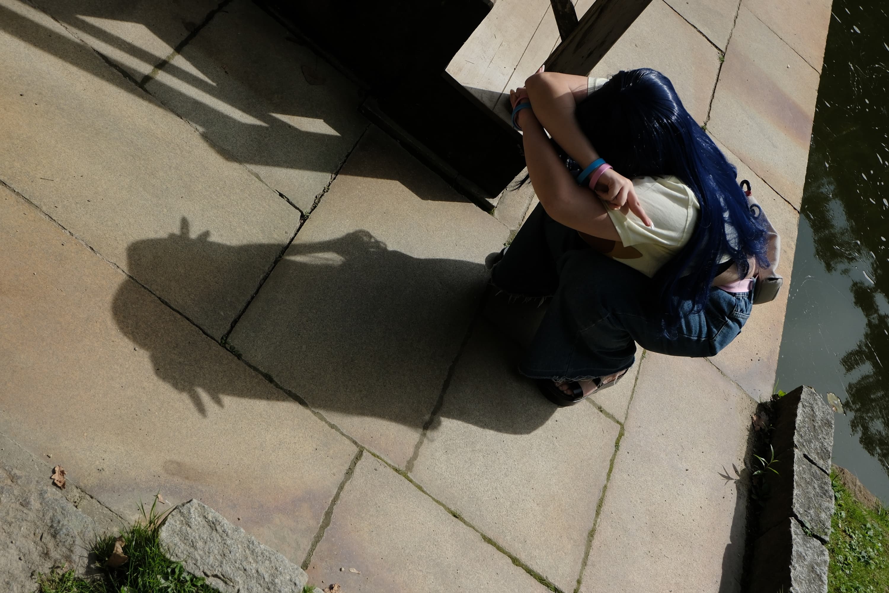 Himawari  - Photo 46