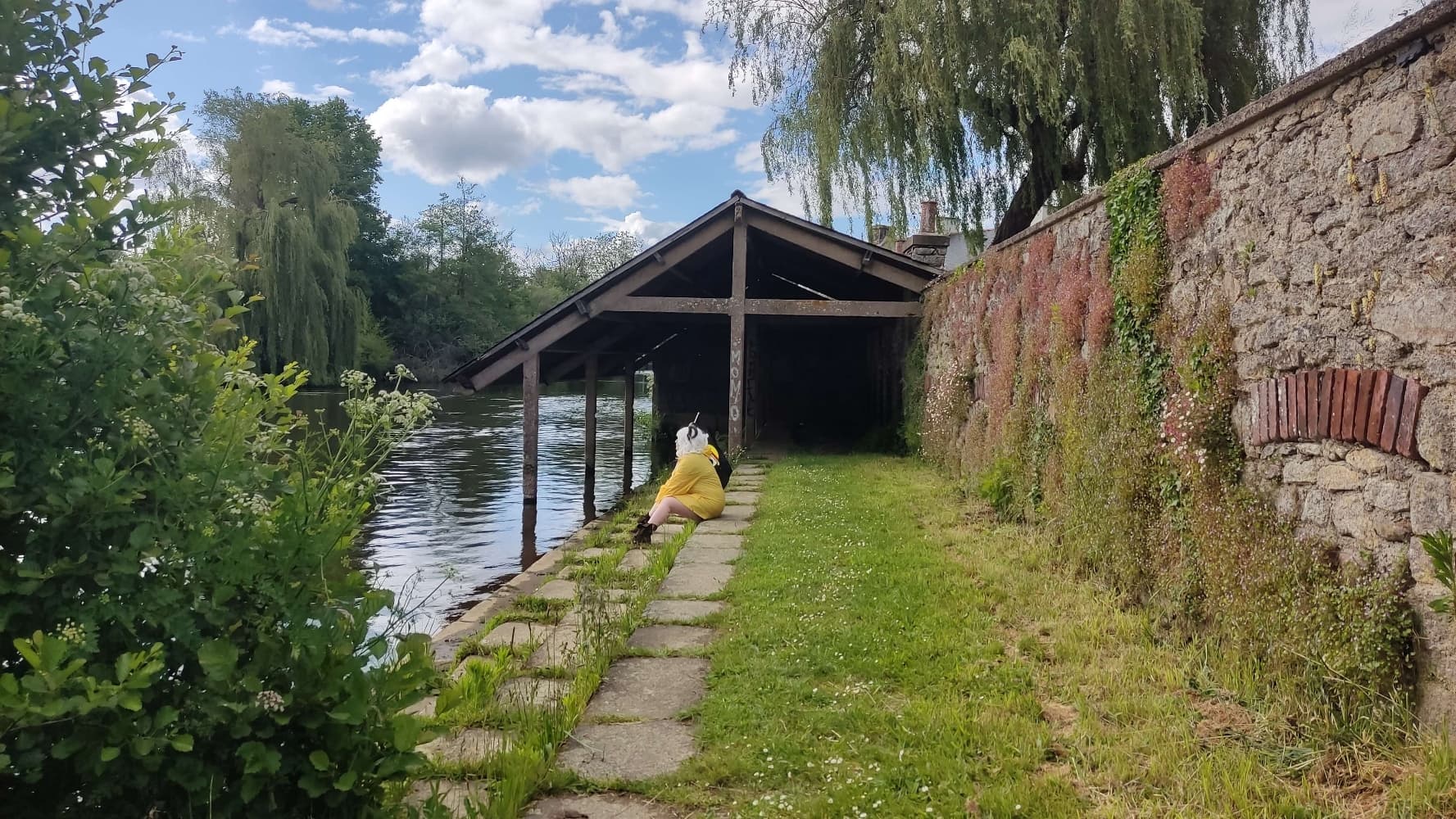 Merry (Jap and Co 2024)  - Photo 2