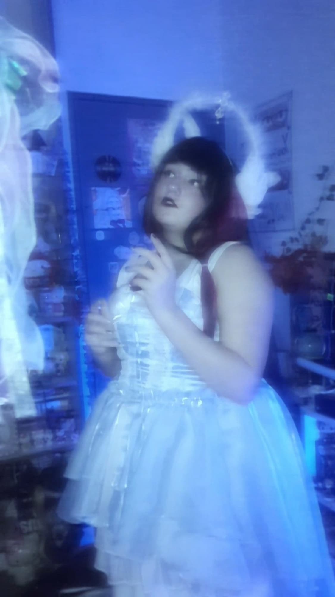 Columbina  - Photo 4