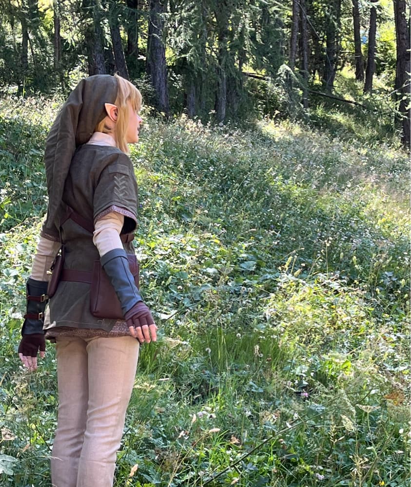 Link - Zelda TP - Photo 2