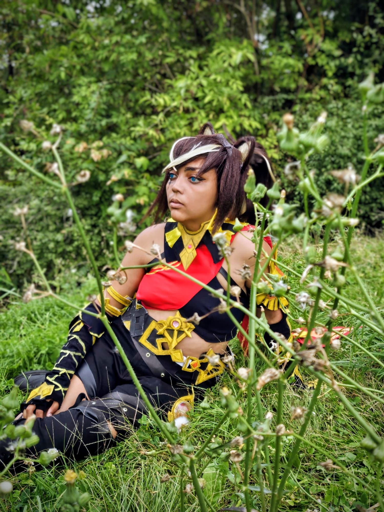 Japanpicnic Été 2025