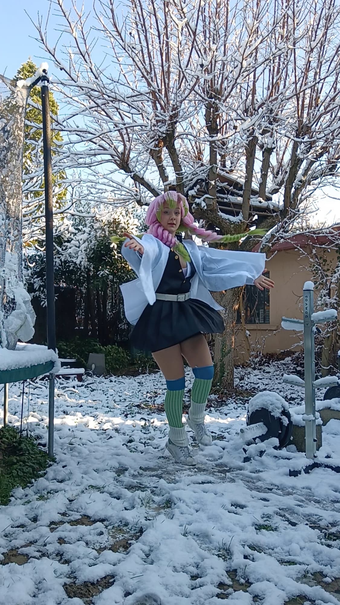 Mitsuri Kanroji - Photo 34