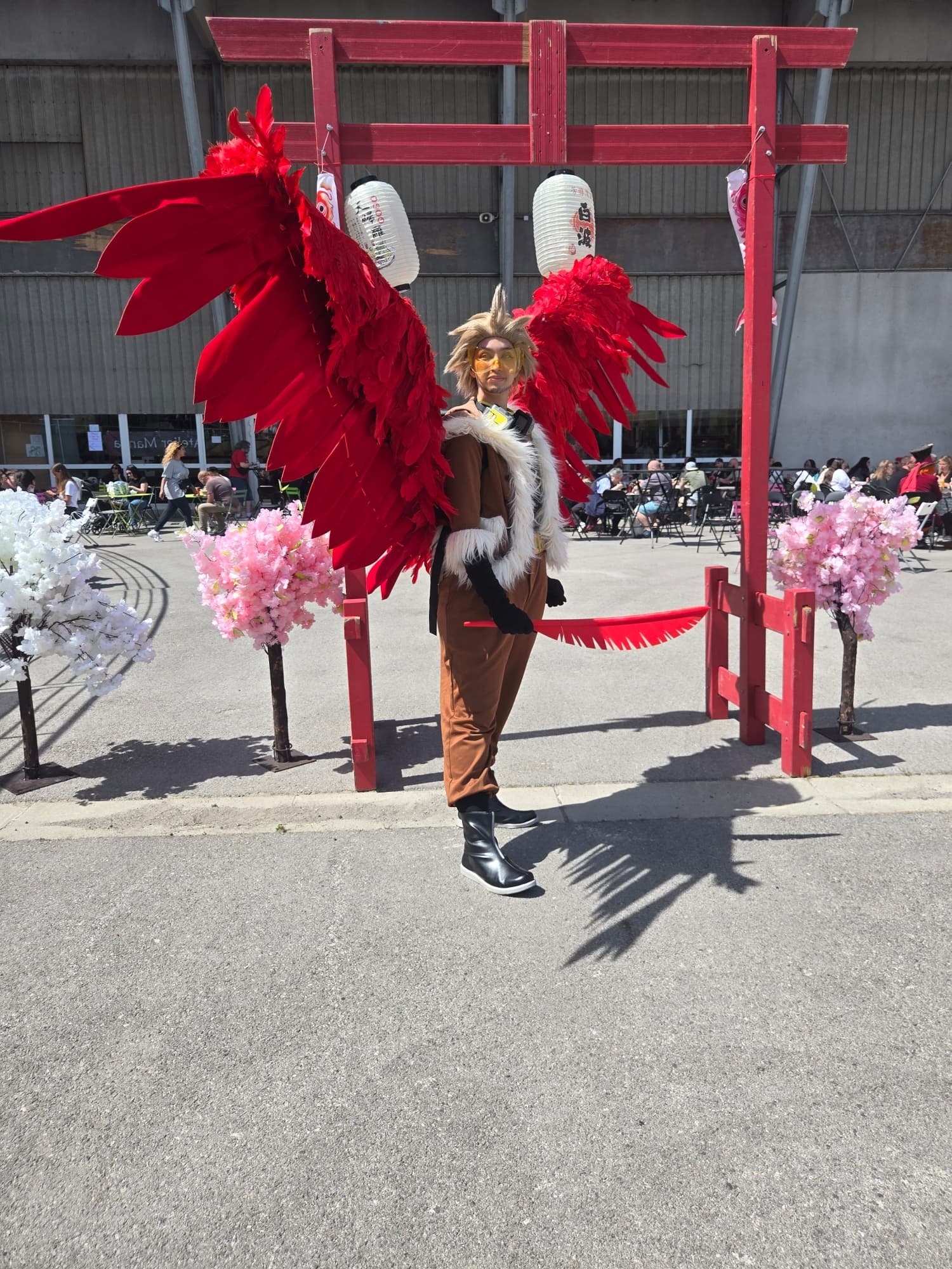 Hawks  - Photo 15