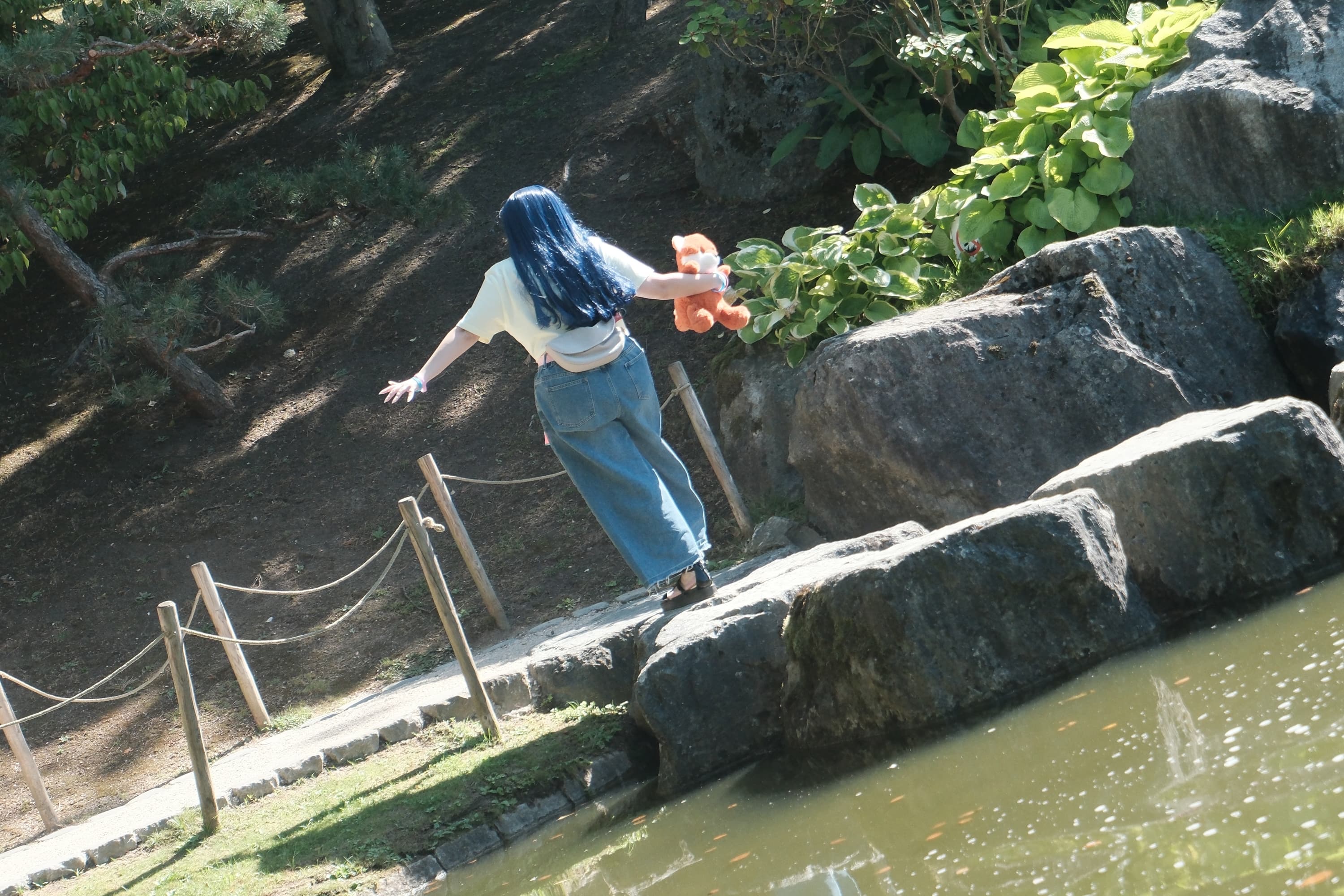 Himawari  - Photo 50