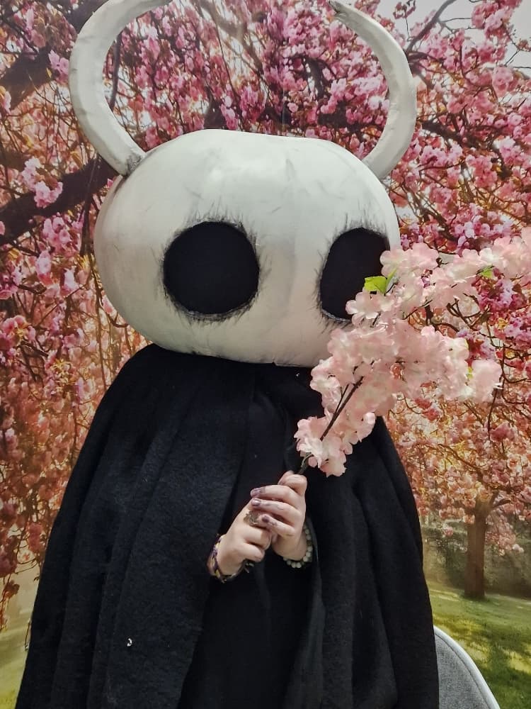 Hollow knight 