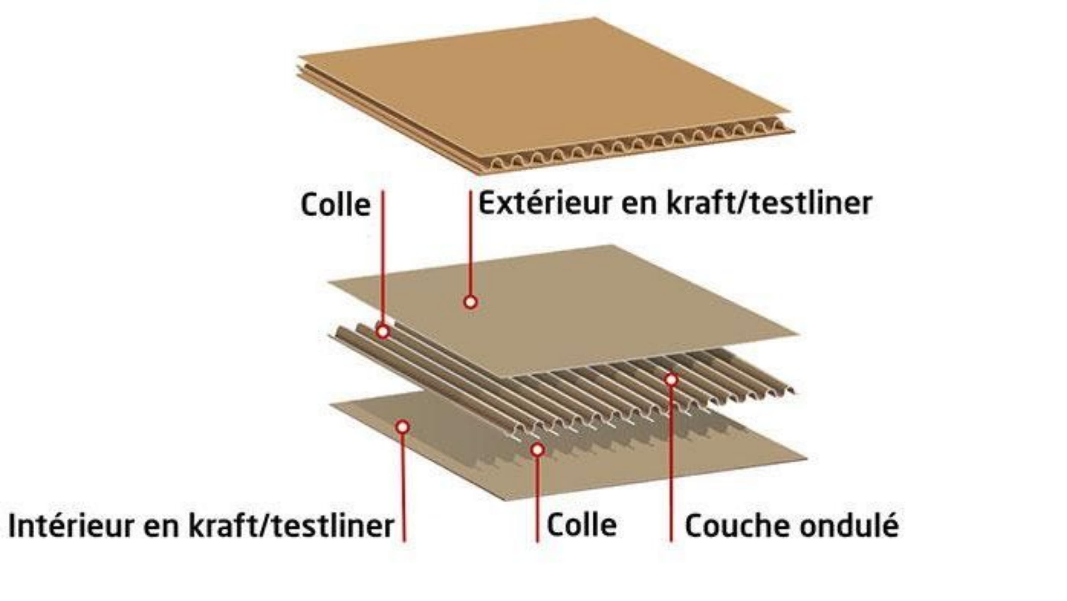 Cardboard: a broad question