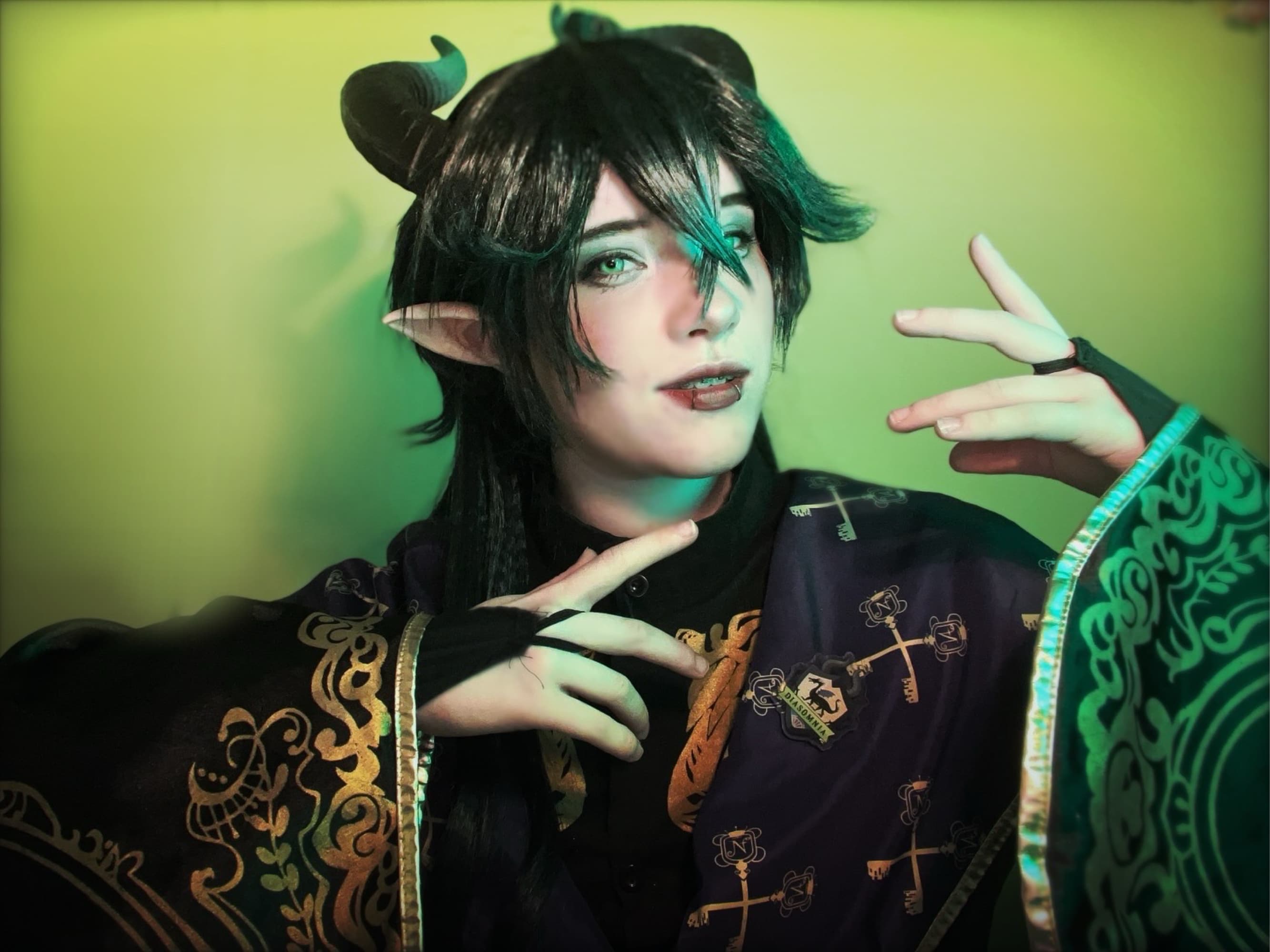 Malleus Draconia - Photo 1