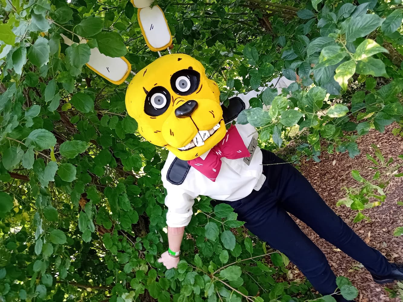 Orchies Festival - Photo 8