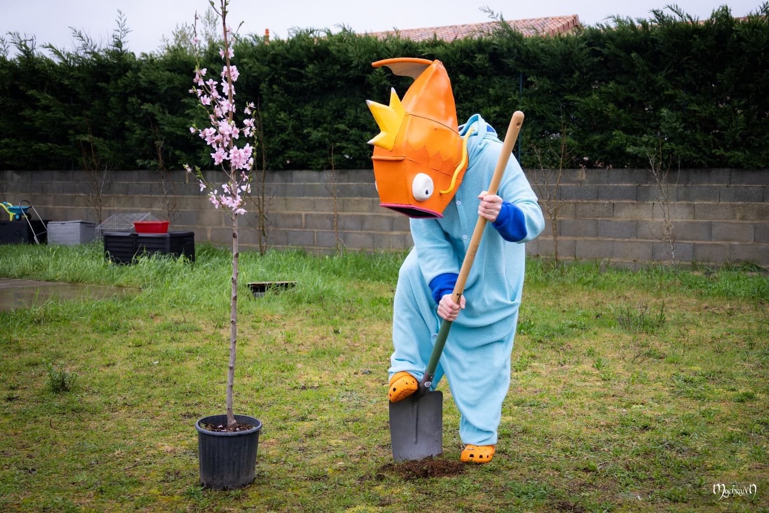 La plantation  - Photo 9