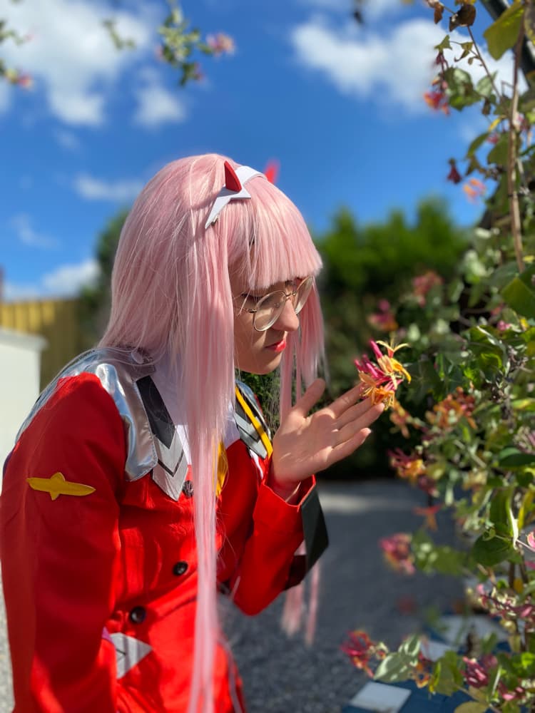Zero Two - Photo 1