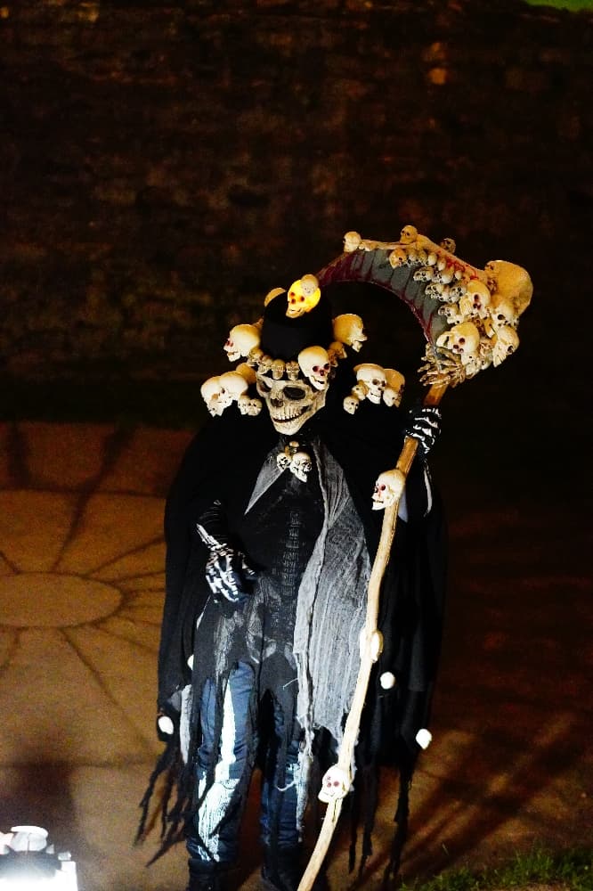 Grande faucheuse  - Photo 1