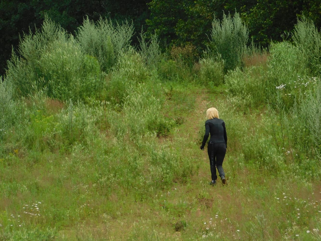 Chat Noir - Photo 10