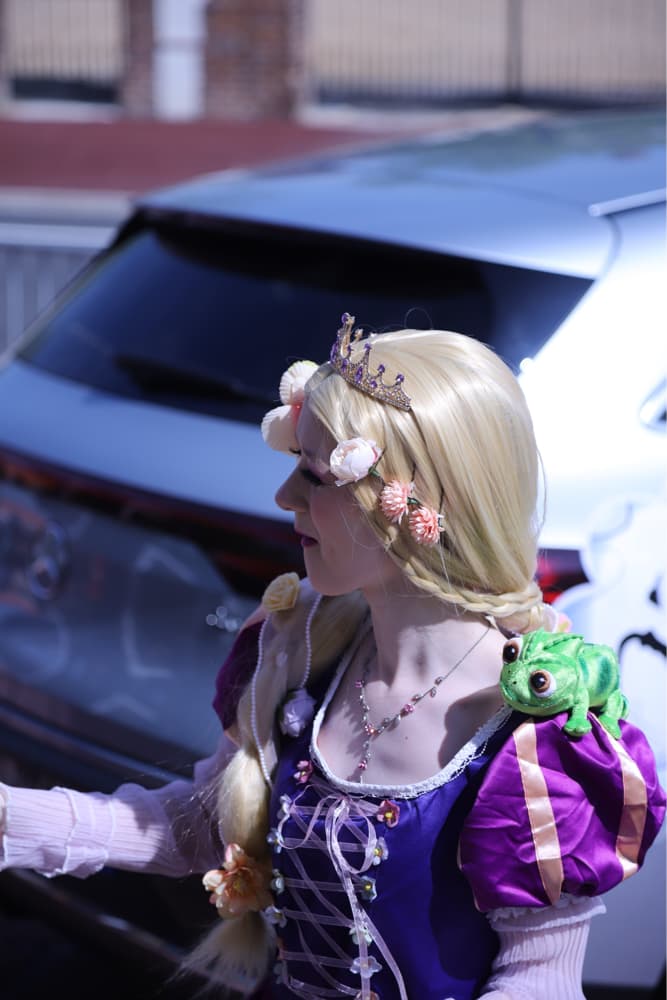 Princesse - Photo 13