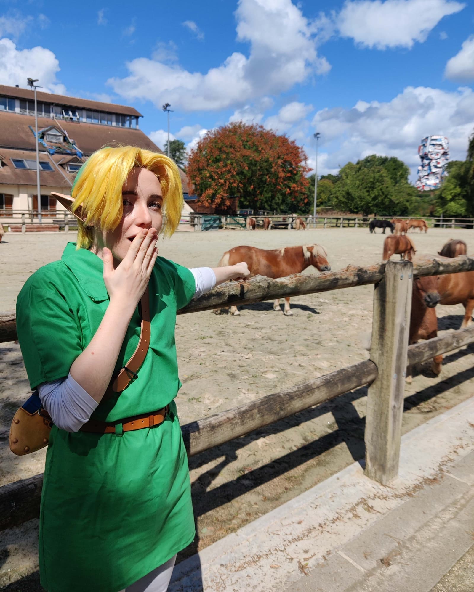 Link Lon lon - Photo 3