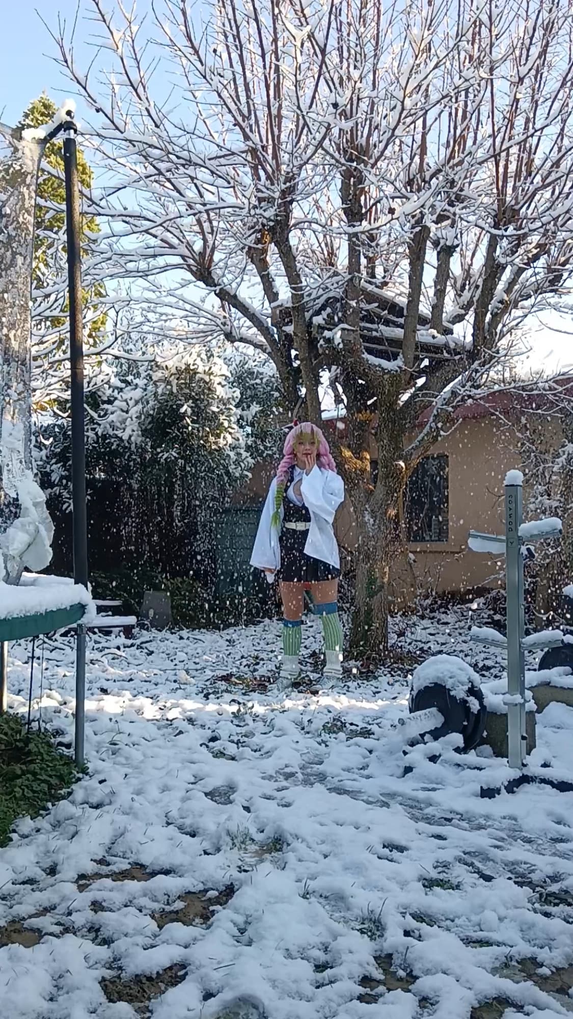 Mitsuri Kanroji - Photo 49