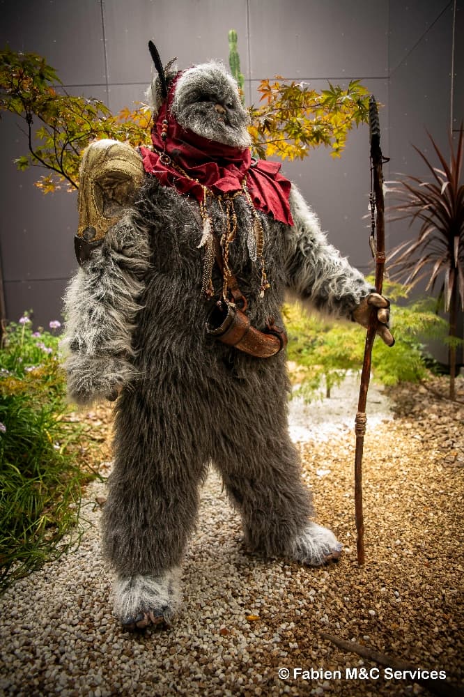 Un Ewok à Vitrolles - Photo 3