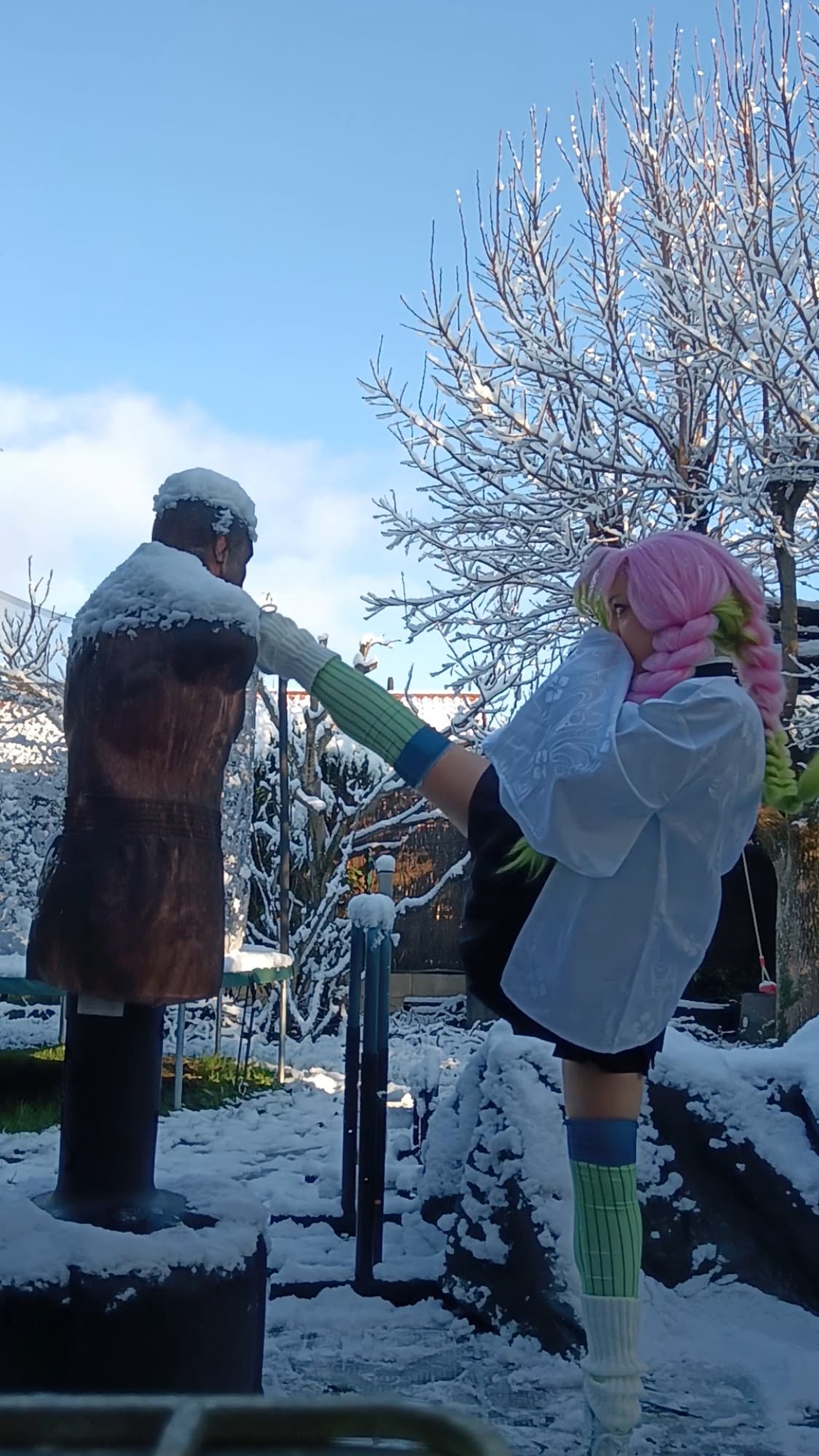 Mitsuri Kanroji - Photo 12