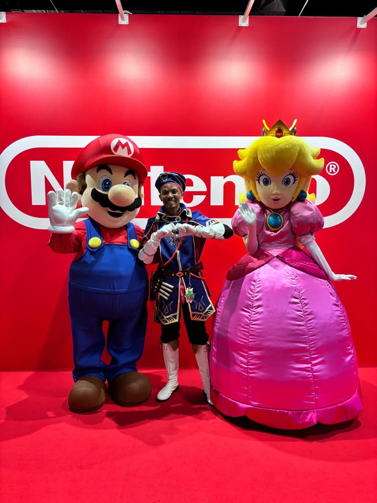 Link royal guard - Photo 1