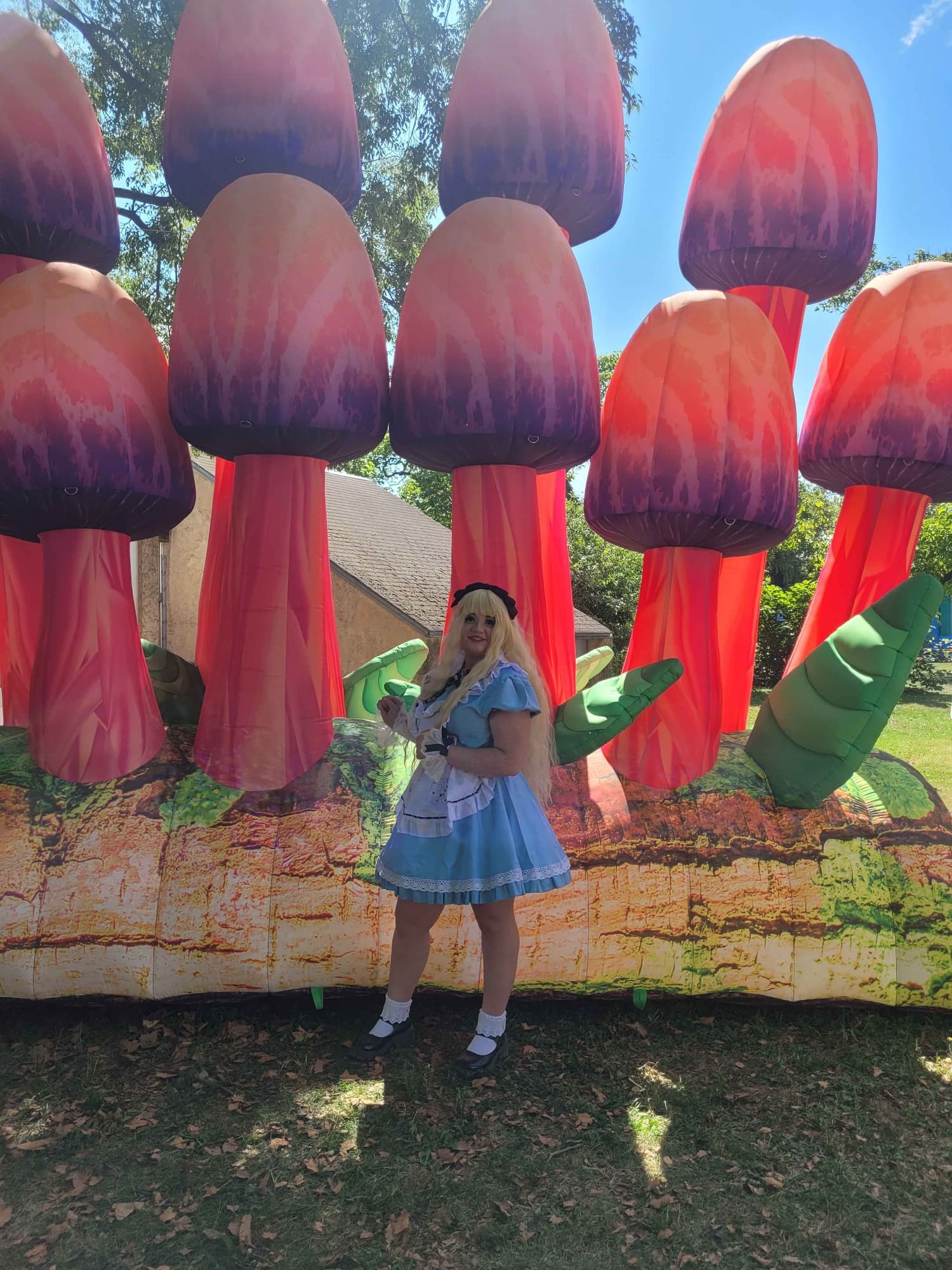 Alice 2024 - Photo 6