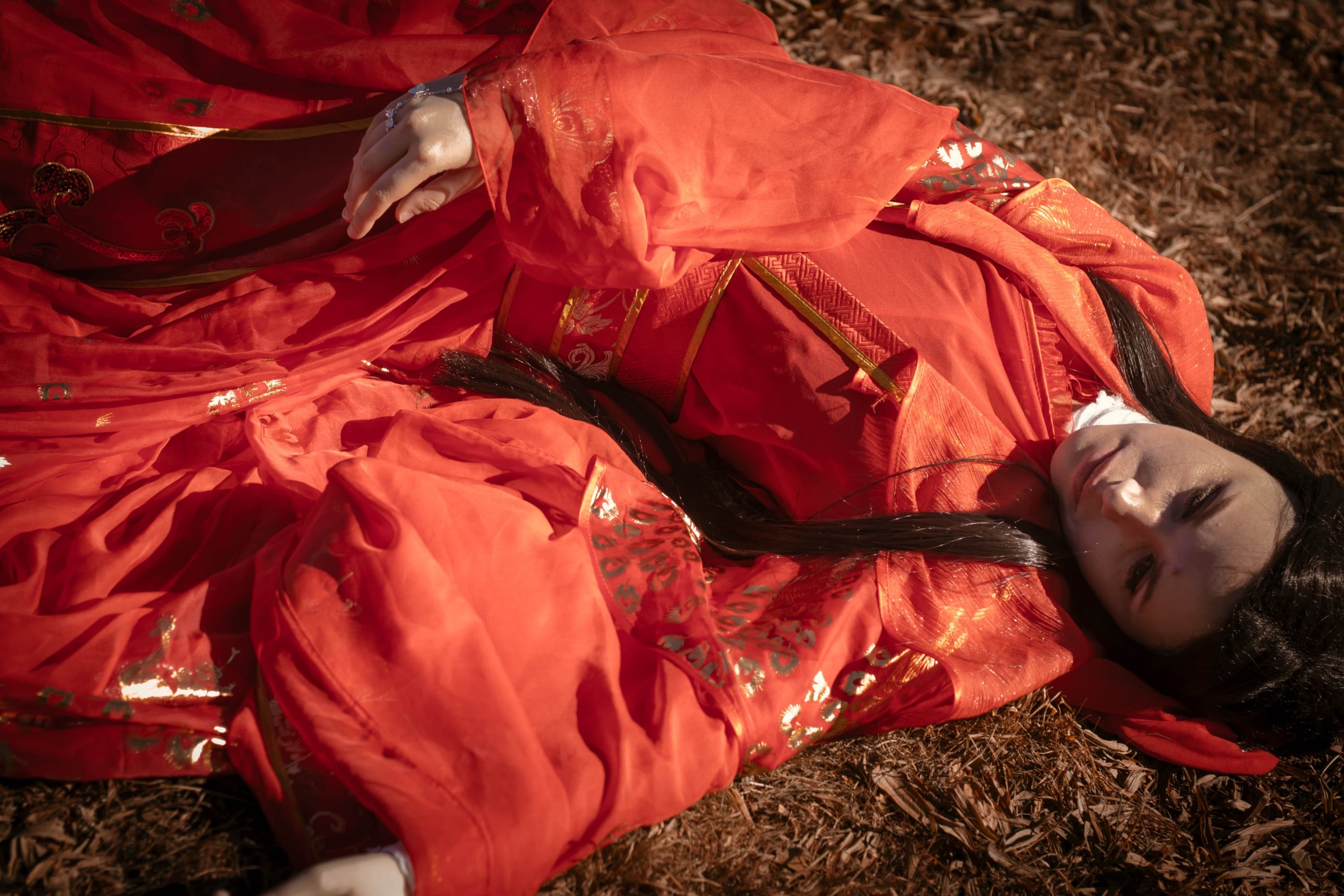 Animasia 25 - Photo 2