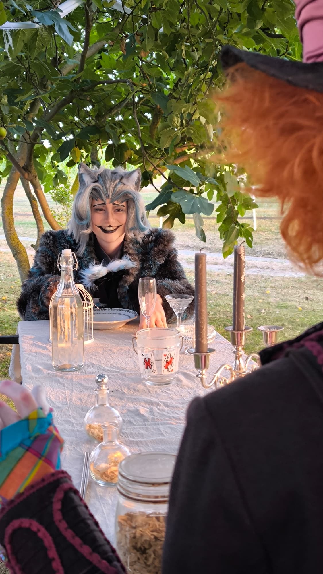 Chapelier/Cheshire - Photo 1