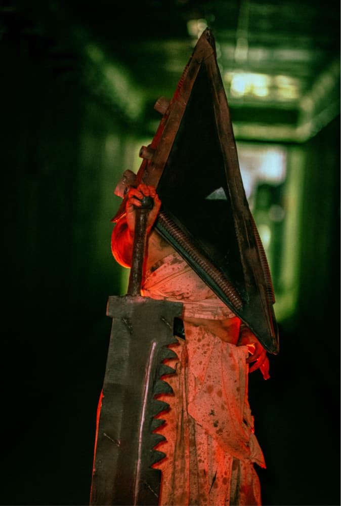 Pyramid head  - Photo 7