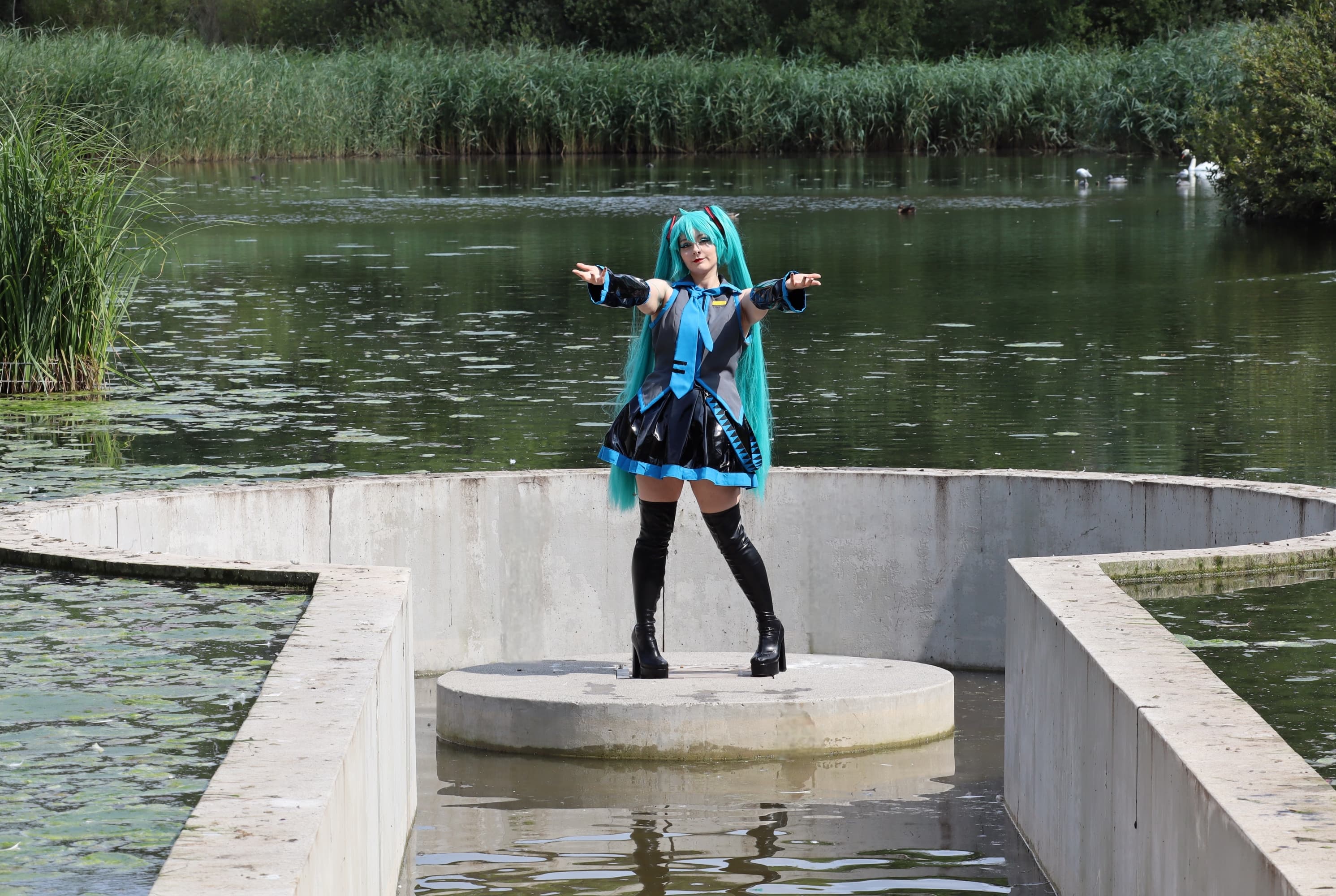 Miku - Photo 10
