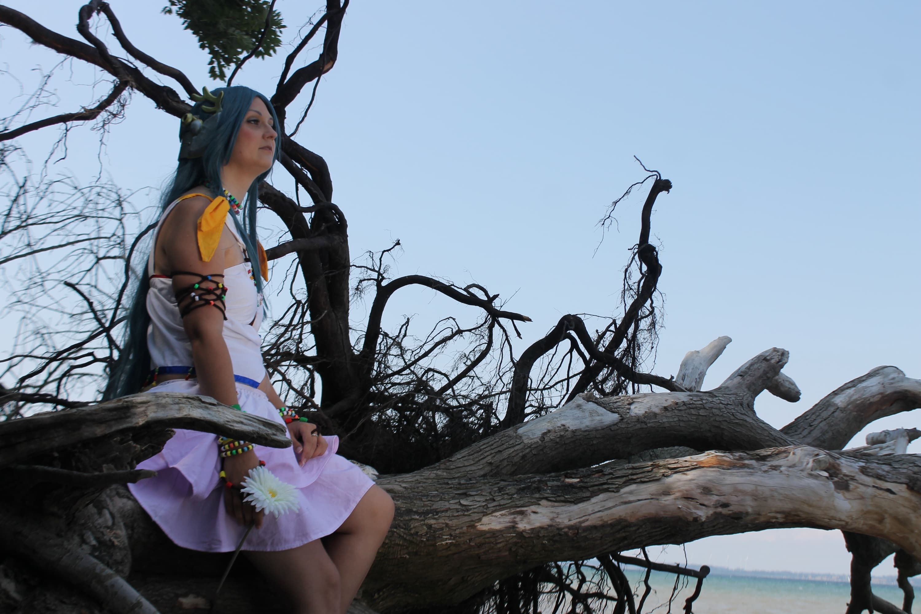 Paddra Nys Jul - Photo 2