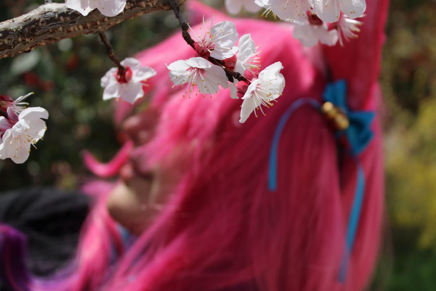Ahri spirit blossom - Photo 4