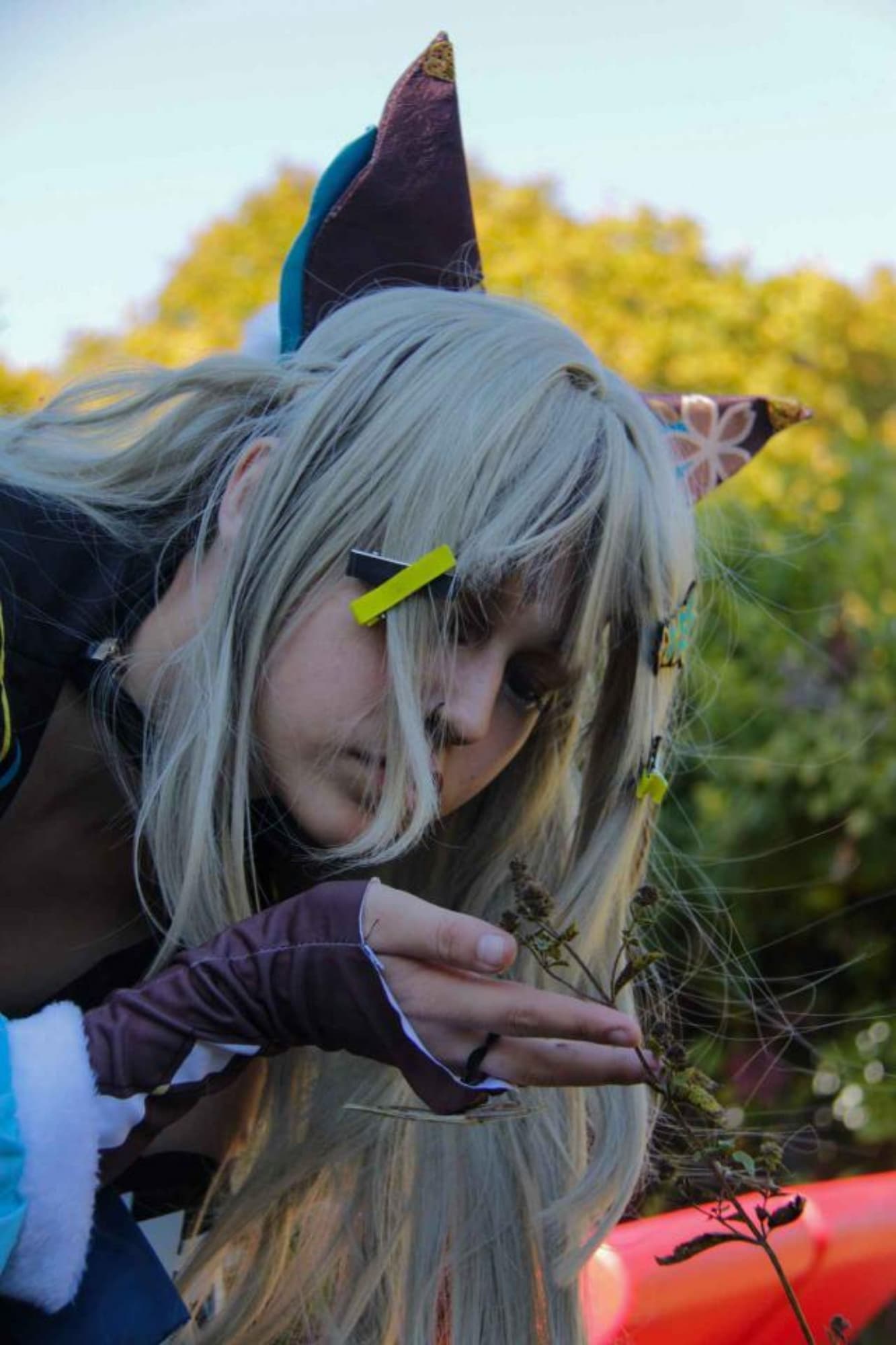 Class project - Photo 16