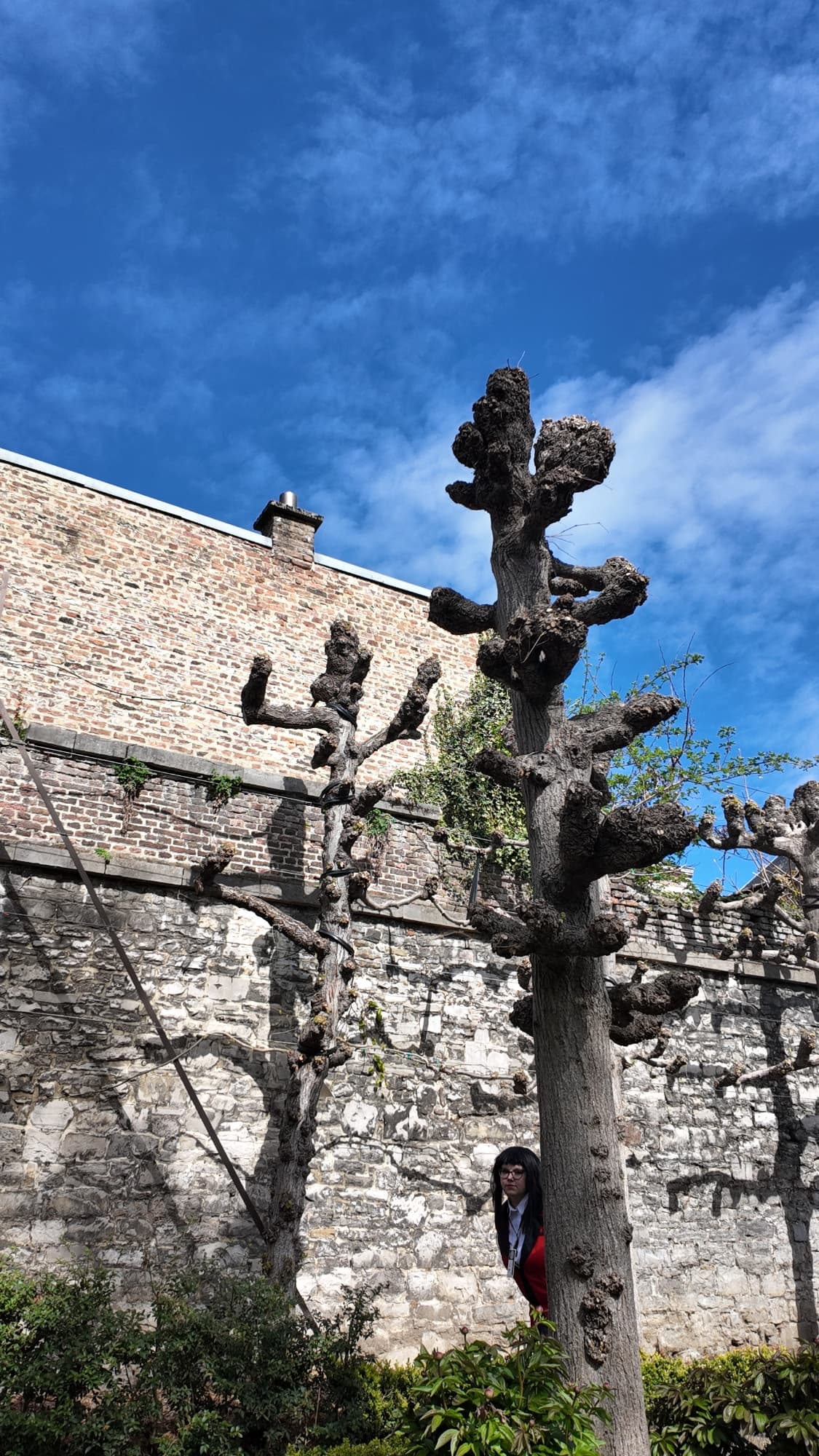 Yumeko jabami - Photo 19