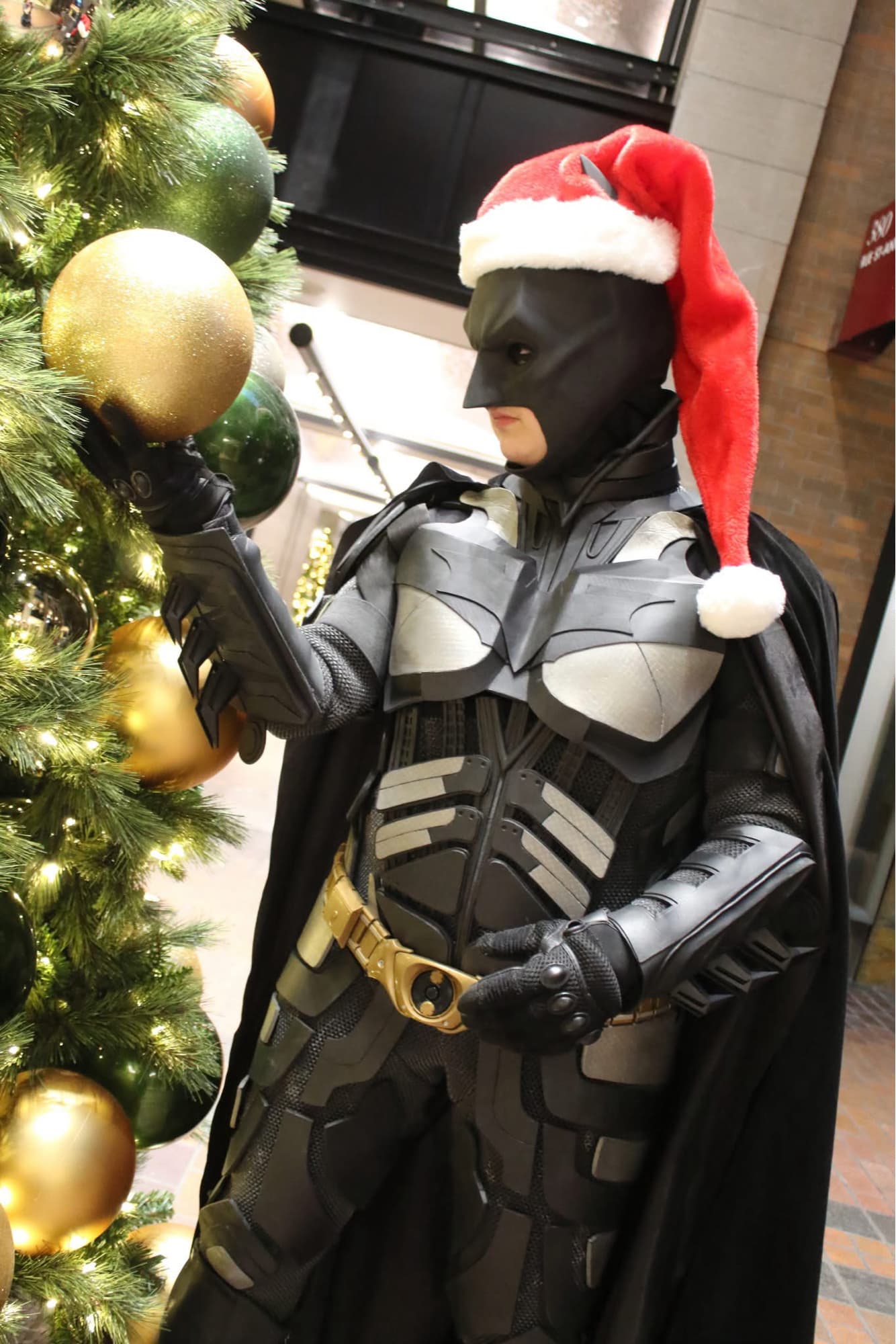 The Bat Santa - Photo 10