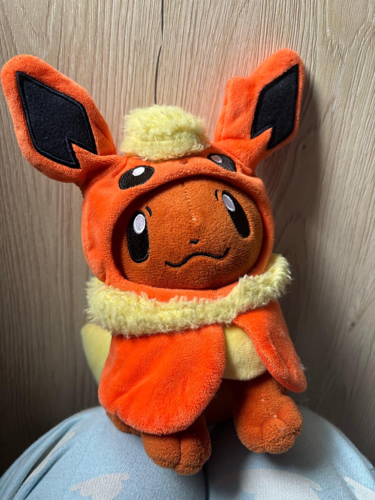 Evoli en Pyroli  - Photo 19