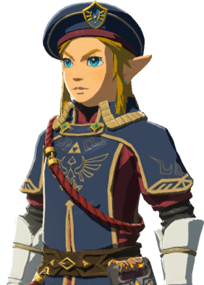 Link Royal guard