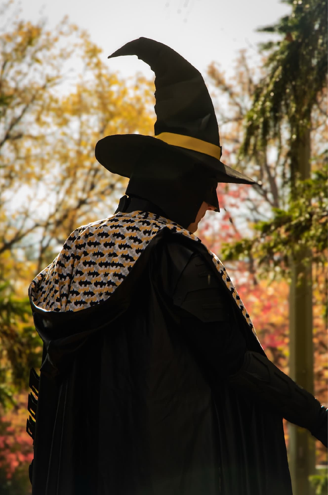 Batman Wizard - Photo 5