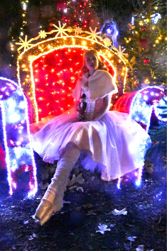 Clara/Fée Dragée 4.0 - Photo 6