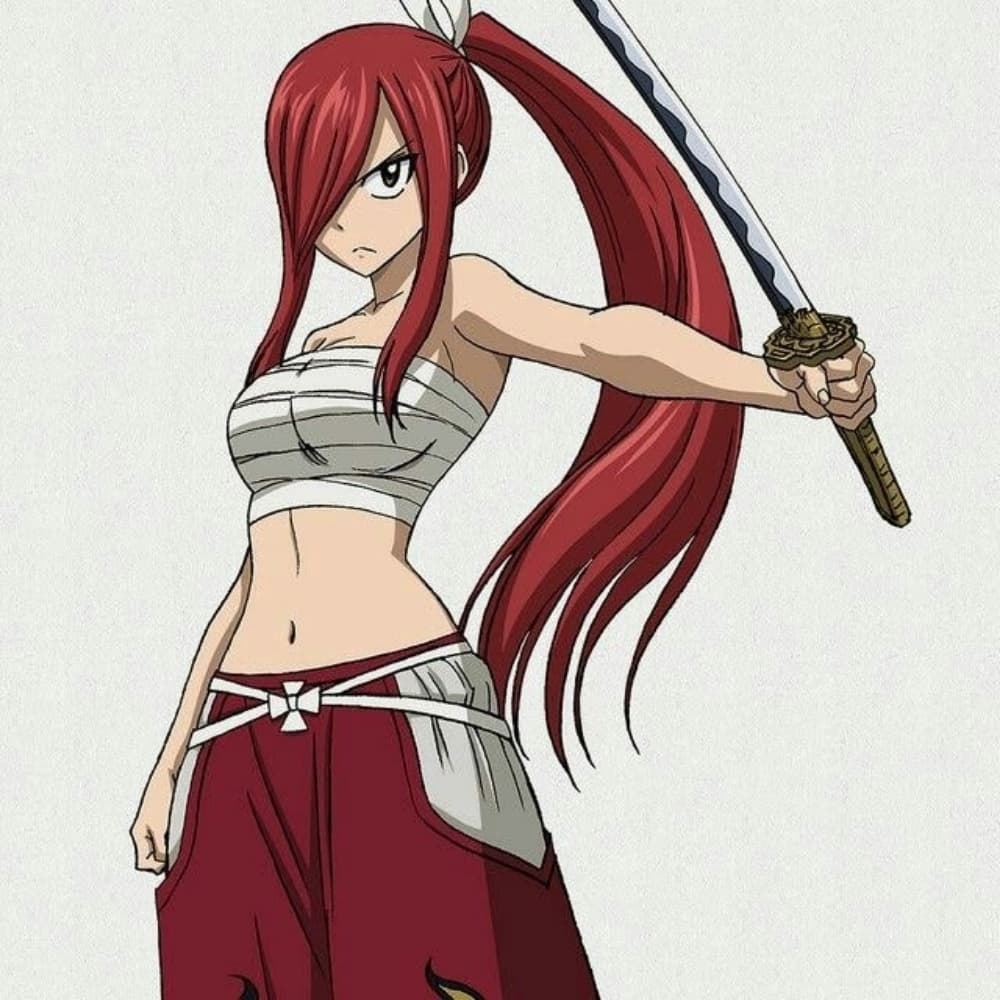 Erza armure Hakama