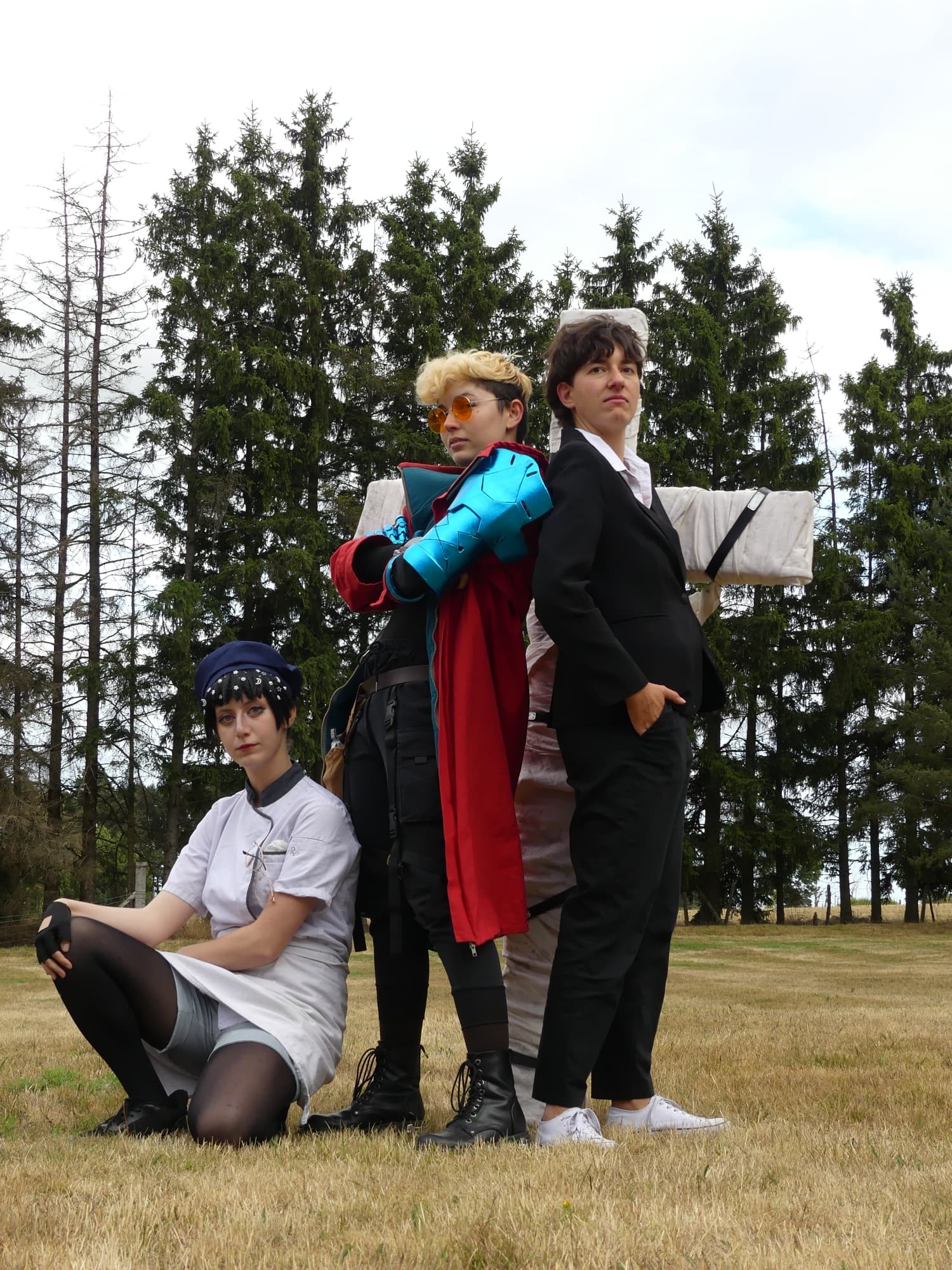 Gevaudan pop culture