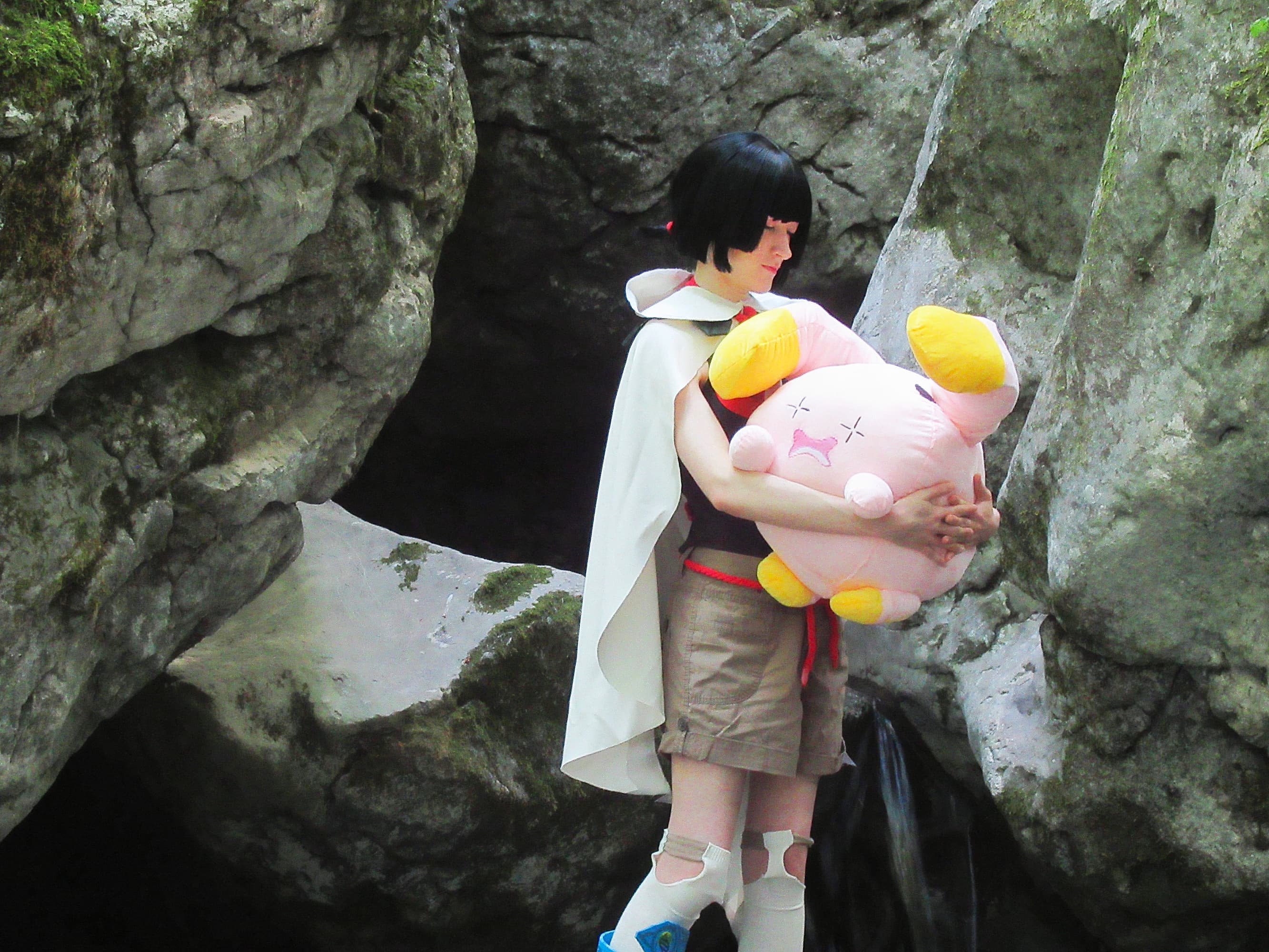 Amaryllis P2 - Photo 2