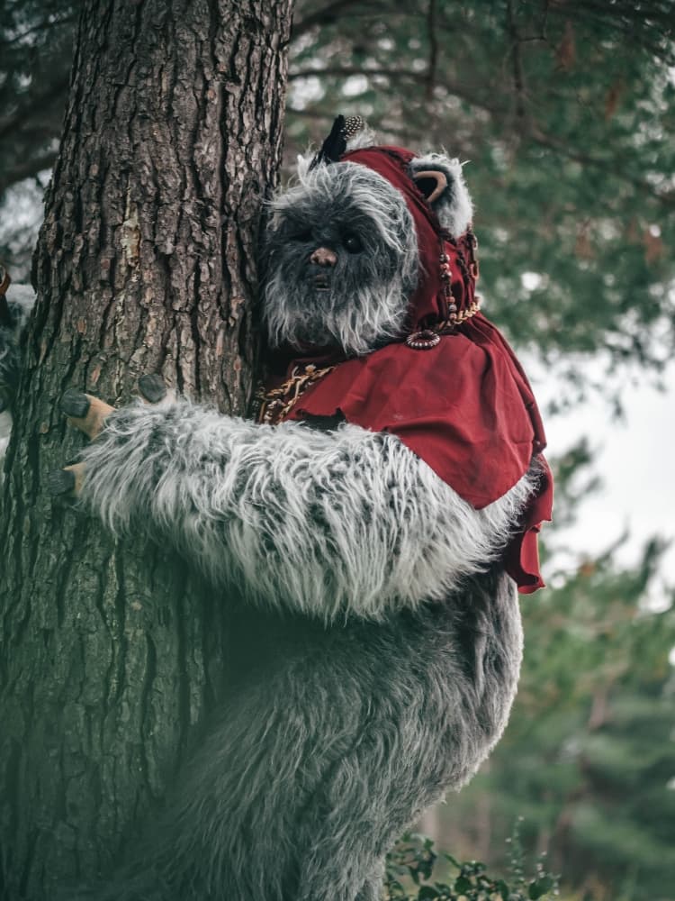 Forest Shooting - Photo 7